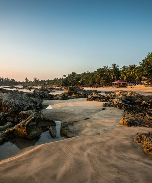 pexels-flo-dahm-1074442